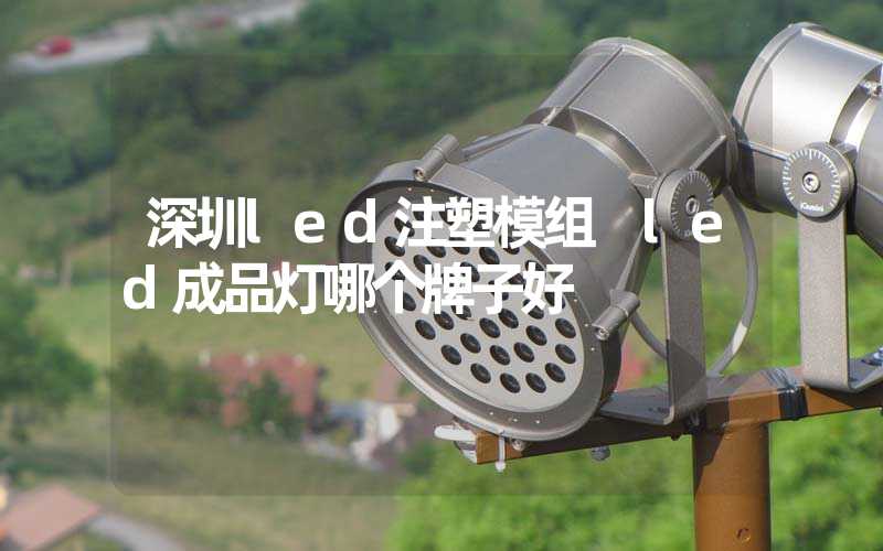深圳led注塑模组 led成品灯哪个牌子好
